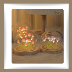 Đèn ngủ dễ thương đồ Decor trang rí