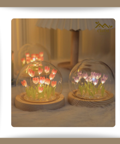 Đèn ngủ dễ thương đồ Decor trang rí